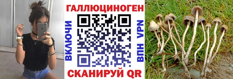 Купить где  Печоры  Галлюциногенные грибы MAGIC MUSHROOMS 