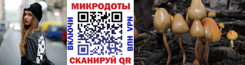 Галлюциногенные грибы прущие грибы Печоры